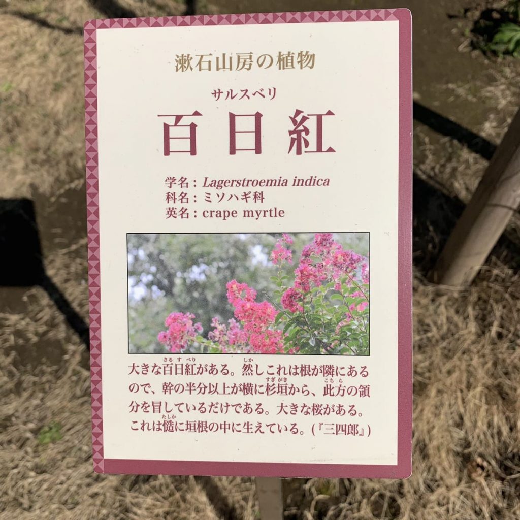 漱石山房記念館　漱石公園