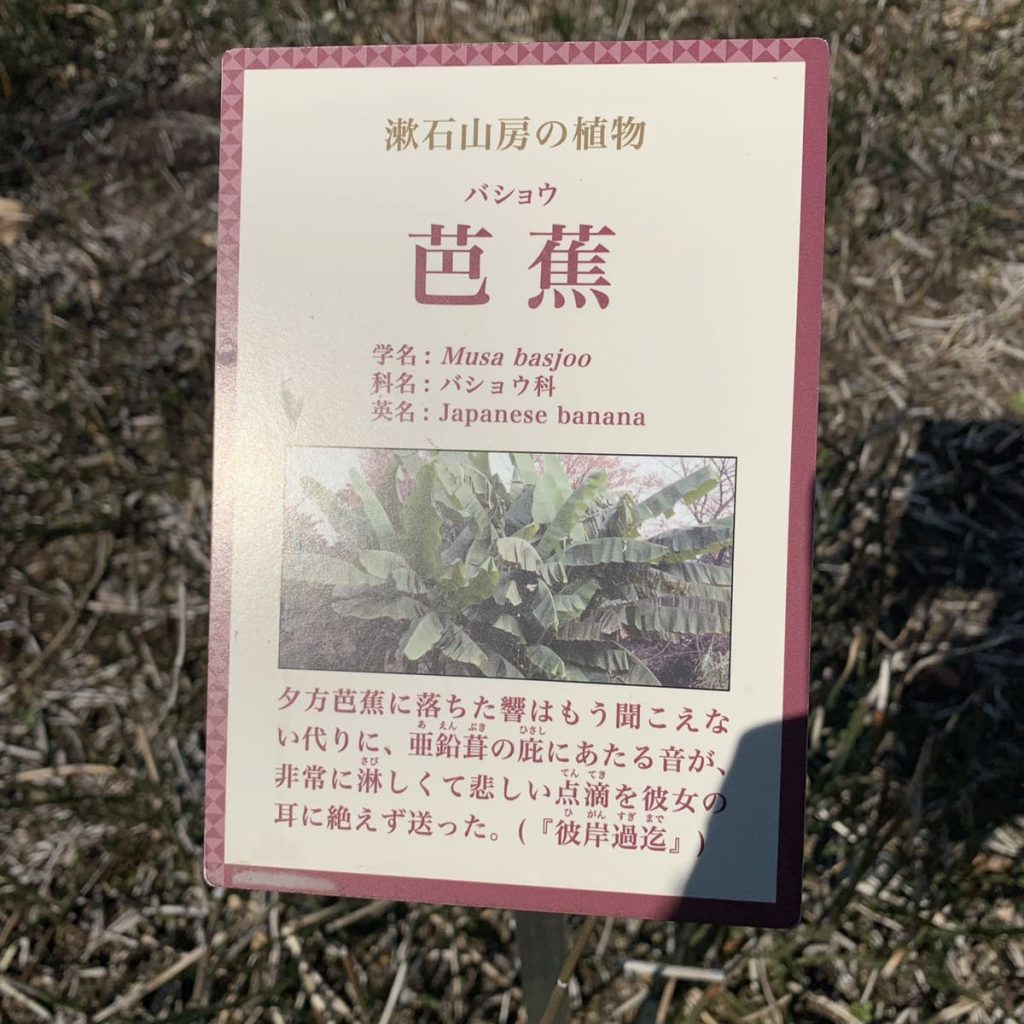 漱石山房記念館　漱石公園