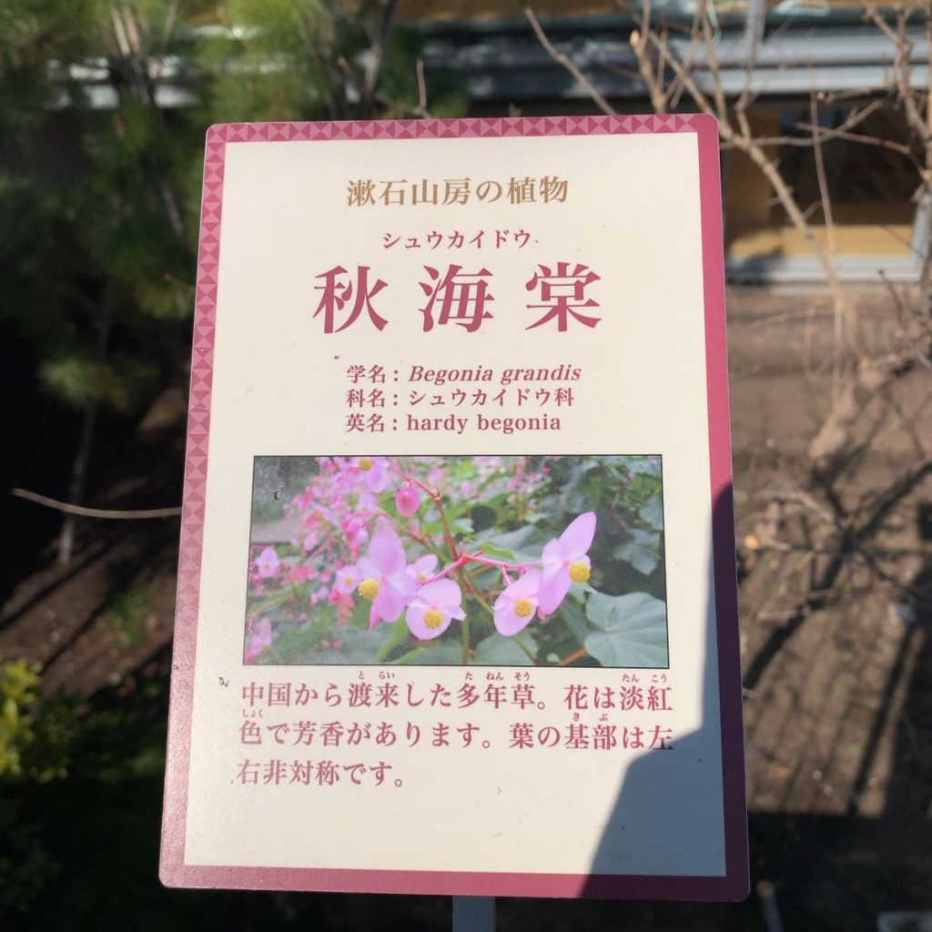 漱石山房記念館　漱石公園